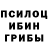 Псилоцибиновые грибы Psilocybe Mereke Abdirazak